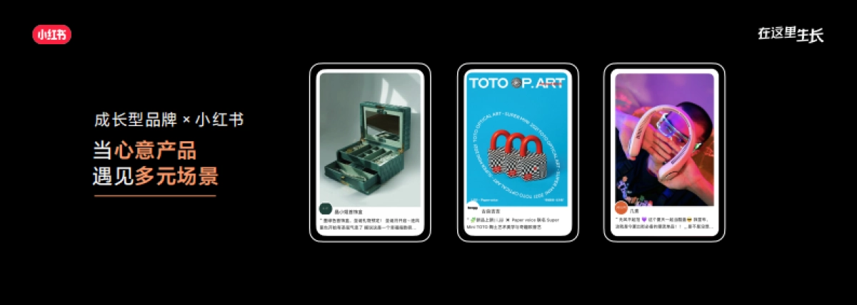2022小红书商业生态大会：在小红书生根发芽，成长型品牌生长解决方案_第6页