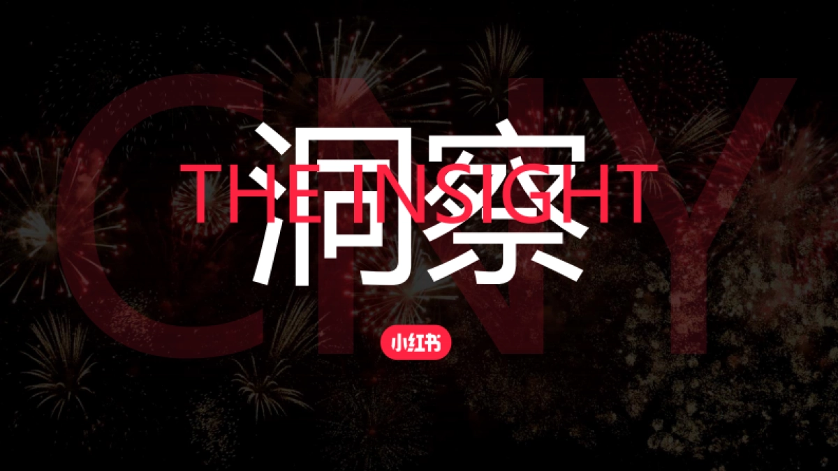 2025 CNY【过年就来小红书】IP招商_第4页