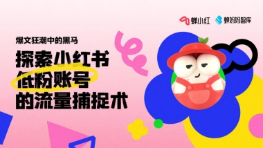 爆文狂潮中的黑马：探索小红书低粉账号的流量捕捉术-蝉小红&蝉妈妈-2023-34页