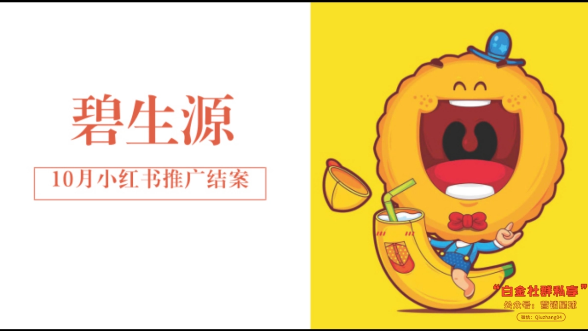 碧生源小红书结案_第1页