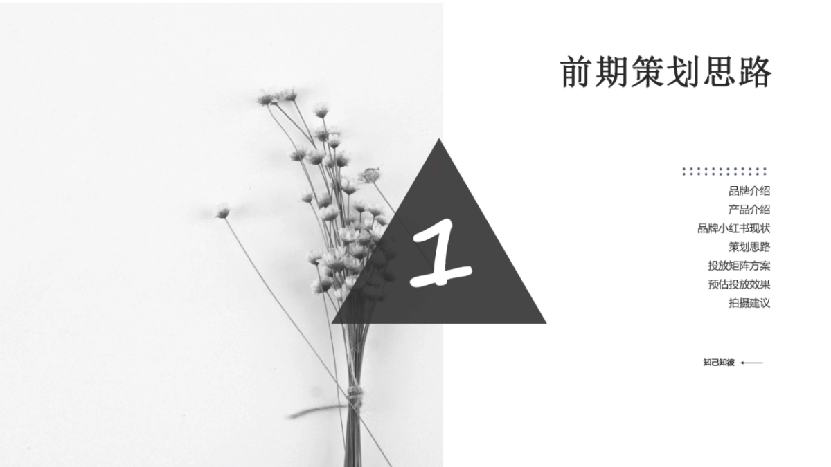 碧生源小红书结案_第3页