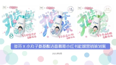 多芬 X 小丸子氨基酸洁面慕斯小红书社媒营销策划案