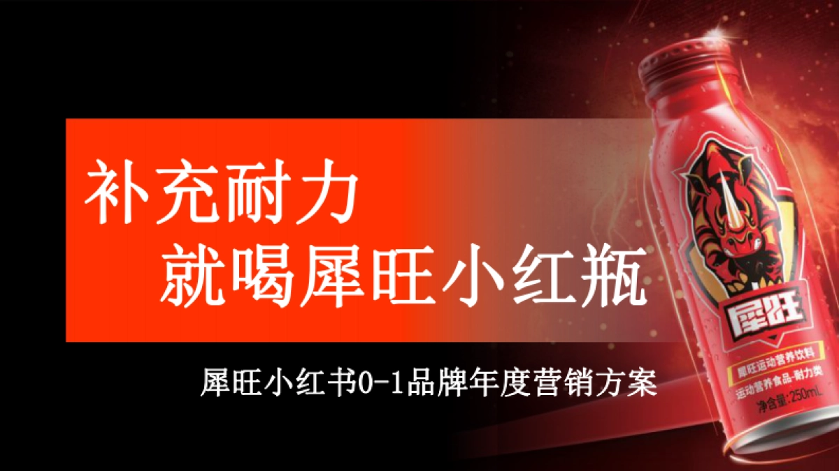 抗疲劳功能饮料小红书0-1品牌营销方案_第1页