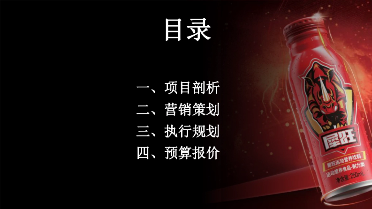 抗疲劳功能饮料小红书0-1品牌营销方案_第3页