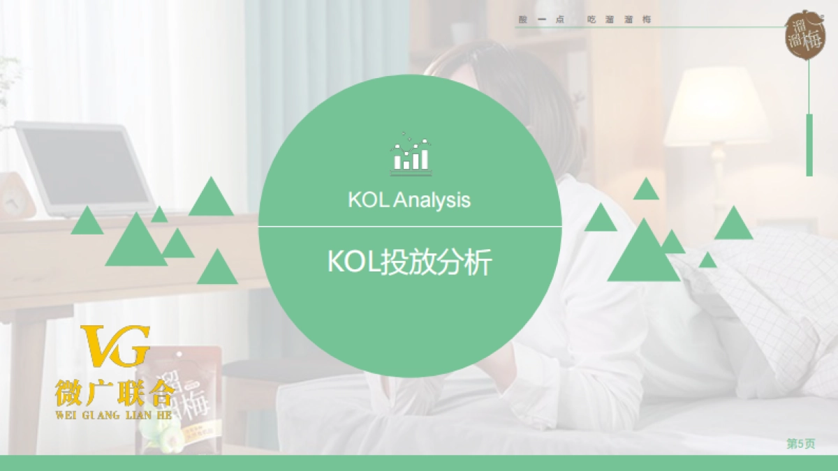 溜溜梅小红书KOL+KOC投放总结_第5页