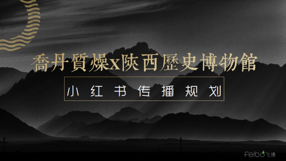 乔丹质燥小红书传播方案_第1页