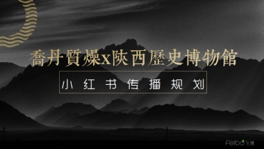 乔丹质燥小红书传播方案