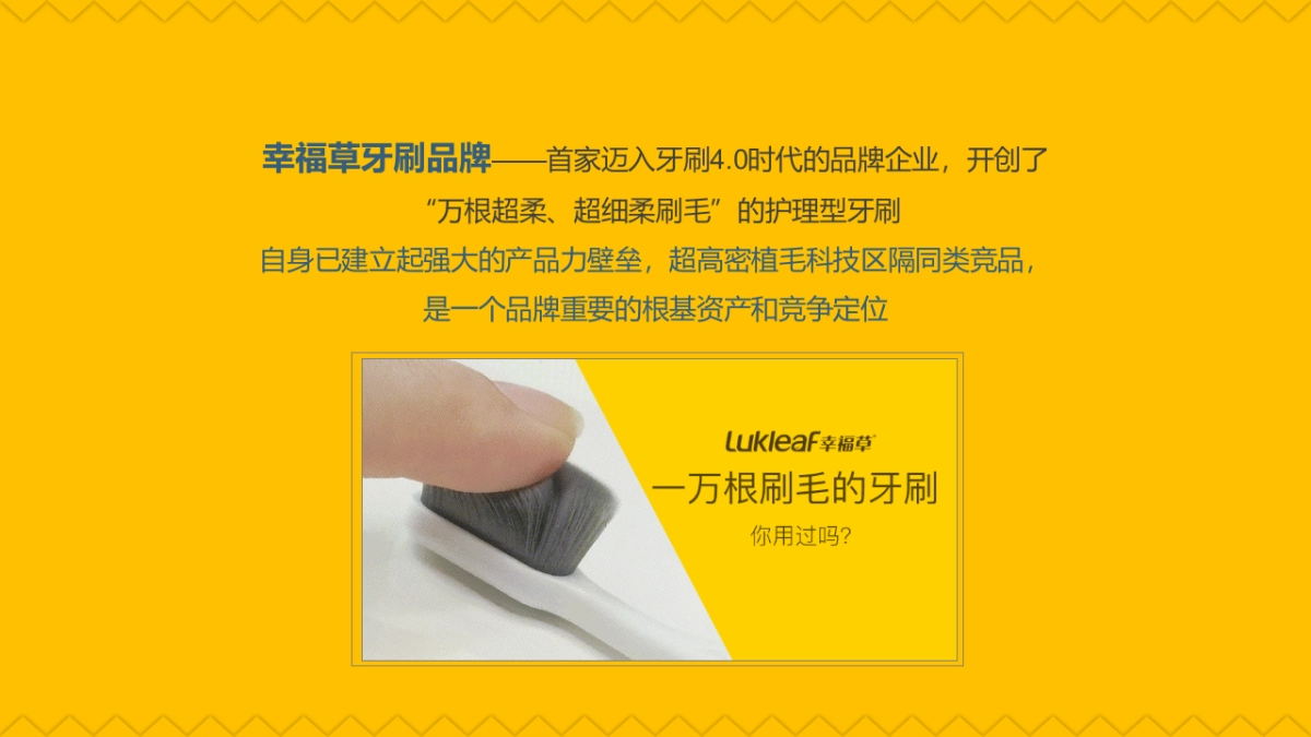 幸福草牙刷小红书线上社交媒体推广方案_第5页
