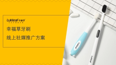 幸福草牙刷小红书线上社交媒体推广方案