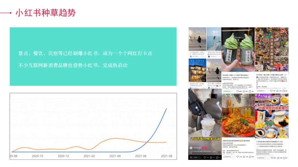 牙博士小红书提案_第7页