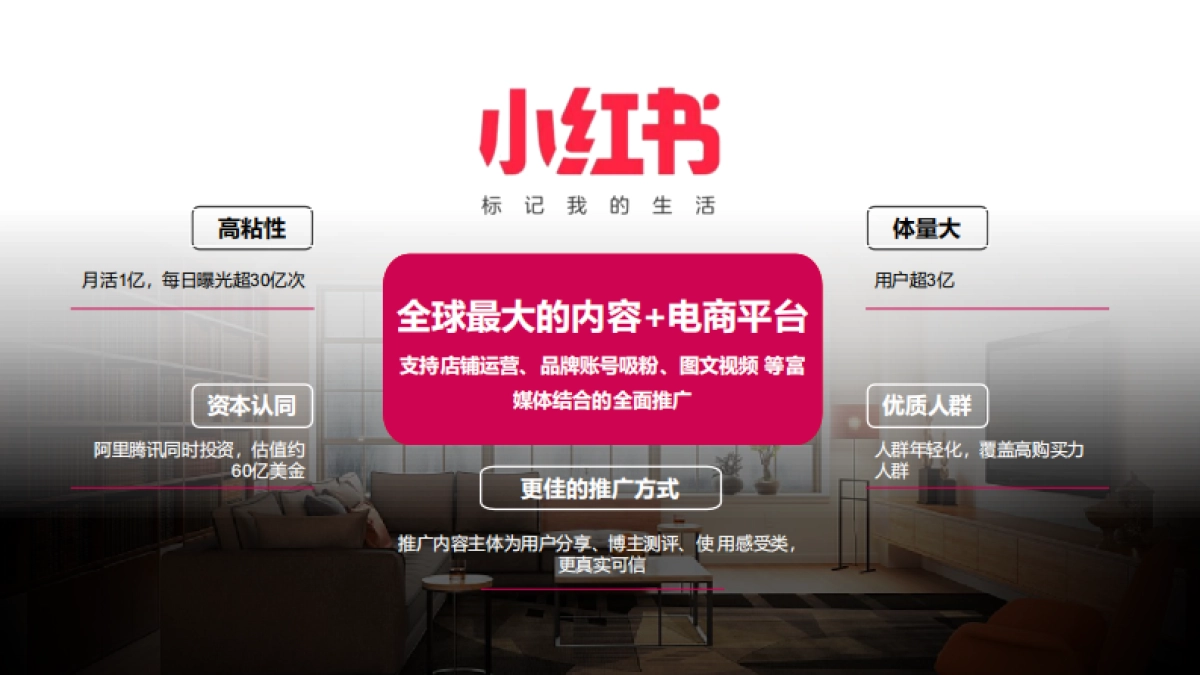 芝华仕小红书年度裂变营销方案重要_第4页