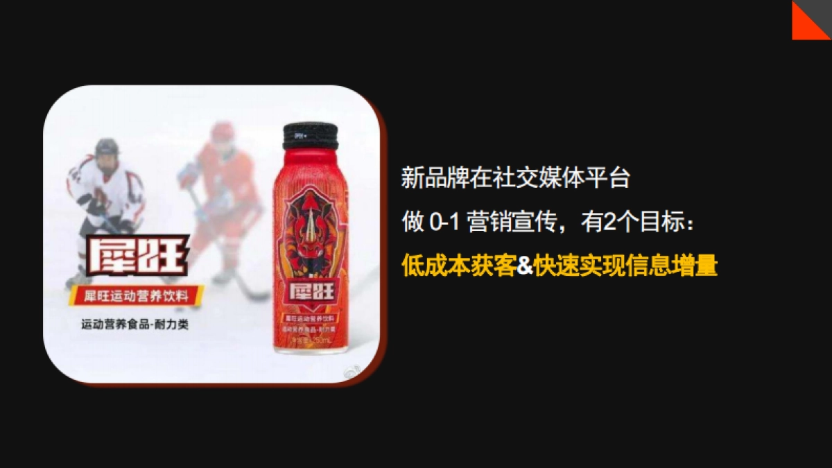犀旺功能饮料小红书0-1品牌营销方案_第5页