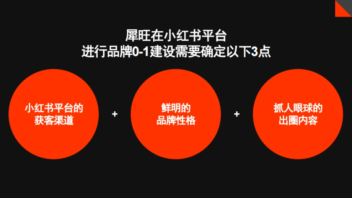 犀旺功能饮料小红书0-1品牌营销方案_第8页