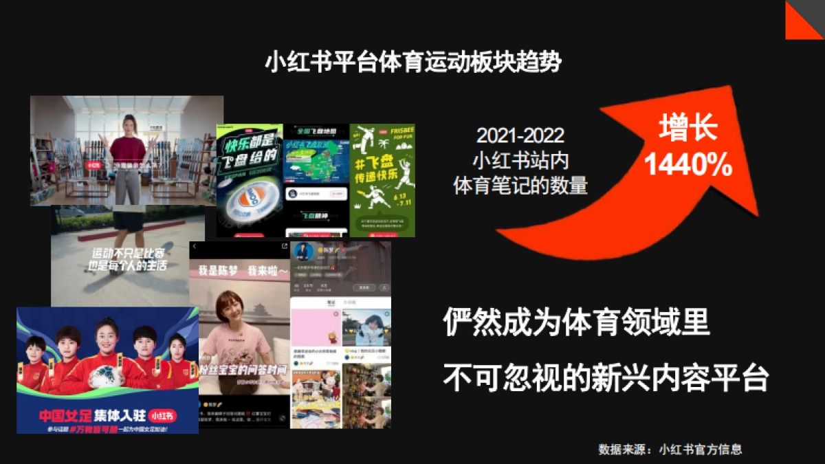 犀旺功能饮料小红书0-1品牌营销方案_第9页