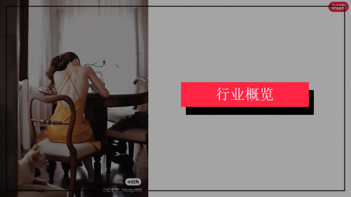 小红书：2023年3月小红书内衣行业月报_第3页