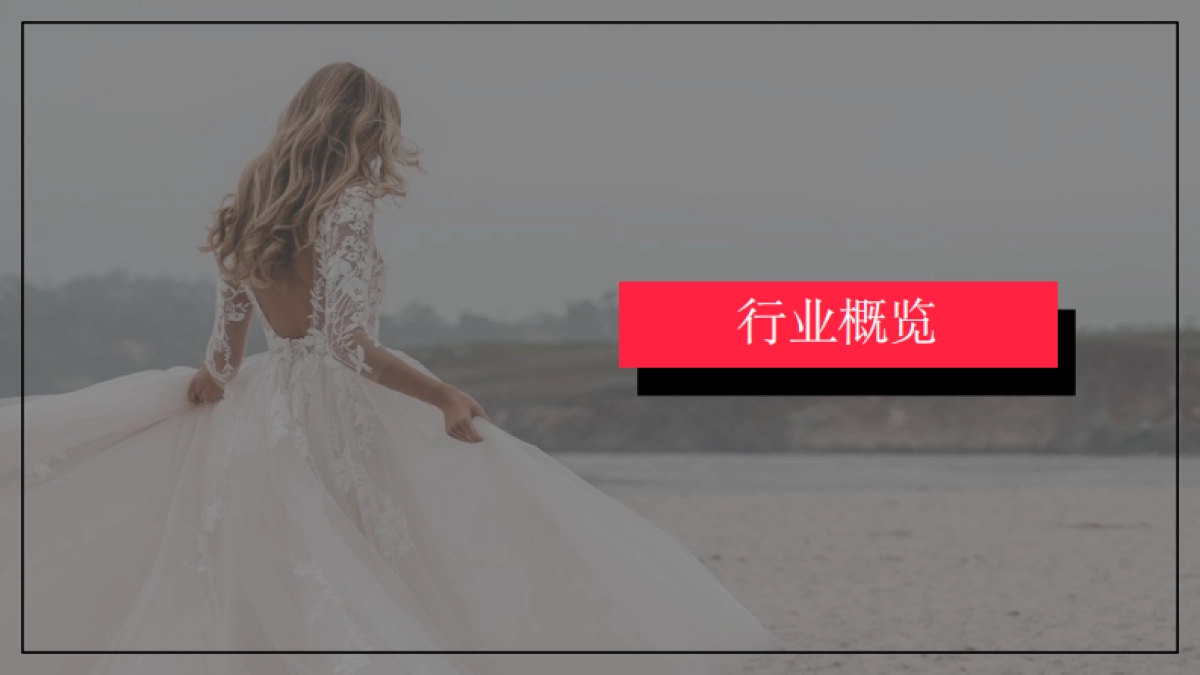 小红书：小红书2024年2月婚嫁行业（含写真）_月报_第3页