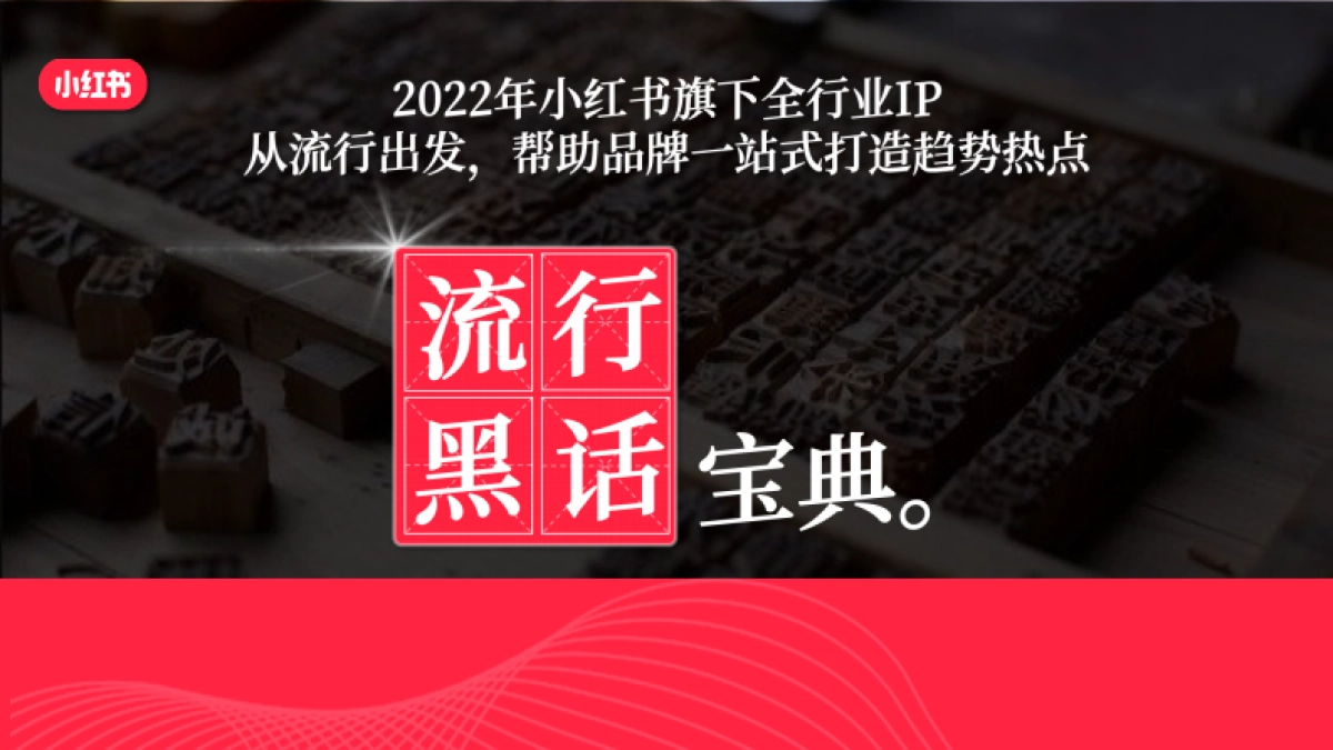 小红书【流行黑话宝典】招商方案_第10页