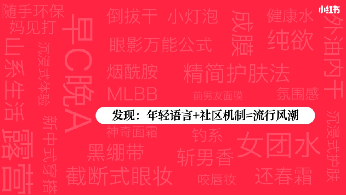 小红书【流行黑话宝典】招商方案_第8页