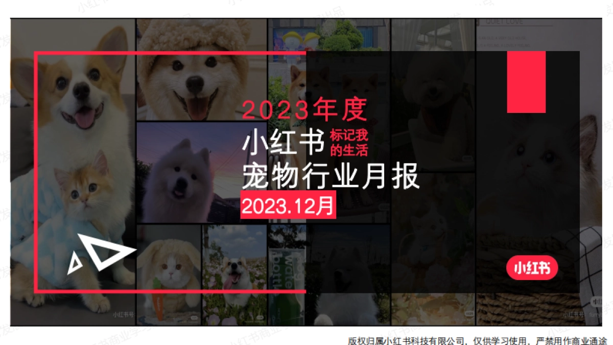 小红书2023年宠物行业月报（12月）_第1页