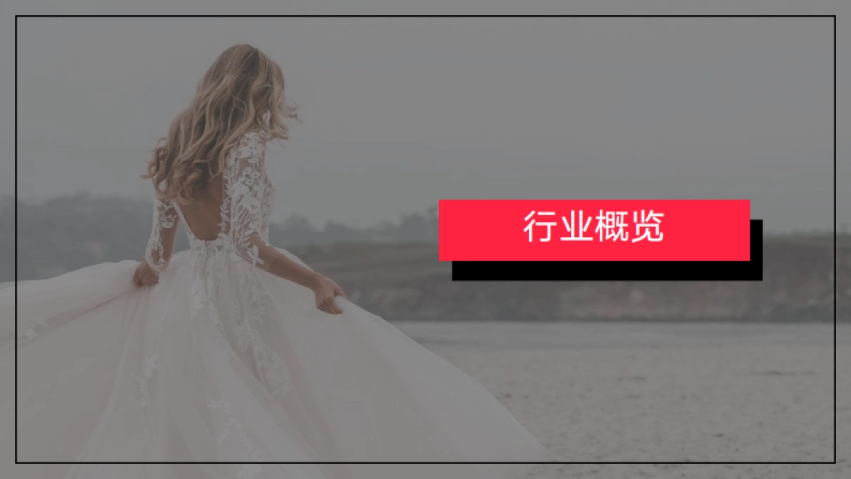 小红书2023年婚嫁行业（含写真） 月报（7月）_第3页