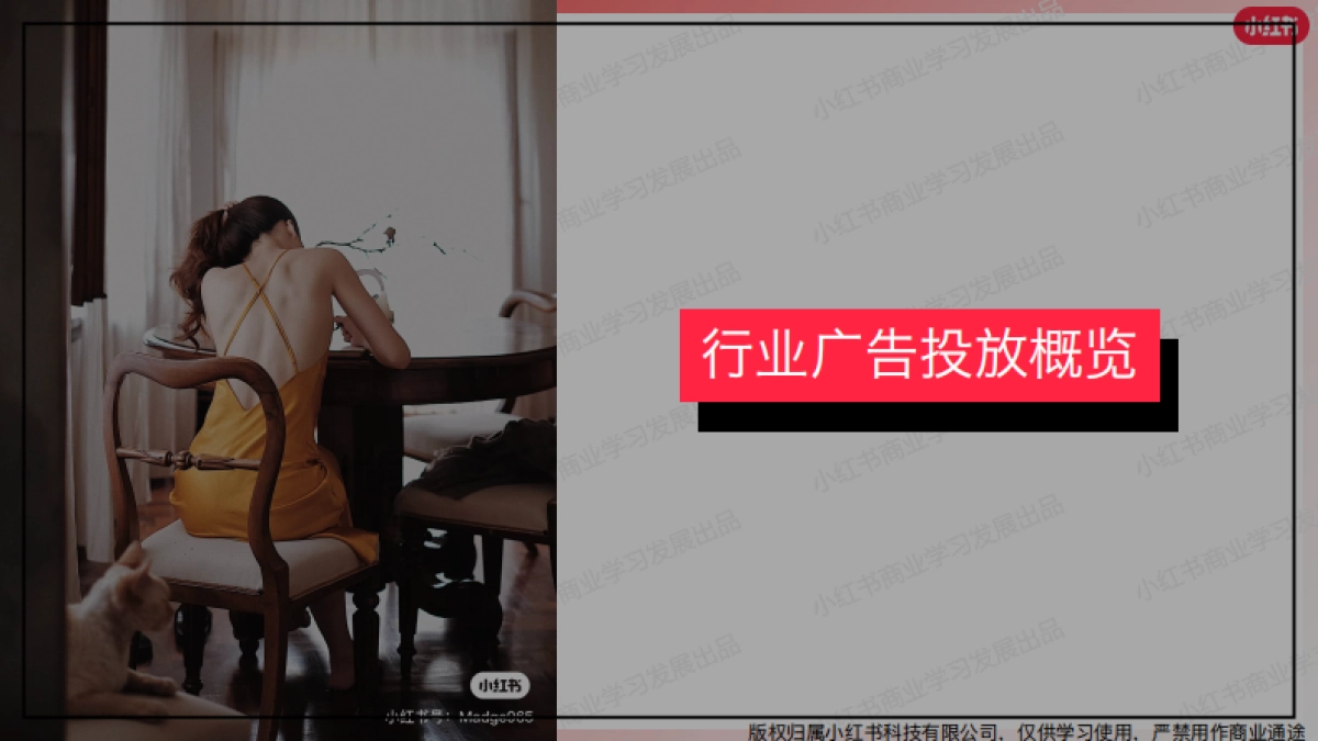 小红书2023年内衣行业月报（12月）_第8页