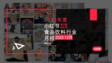 小红书2023年食品饮料行业月报（12月）