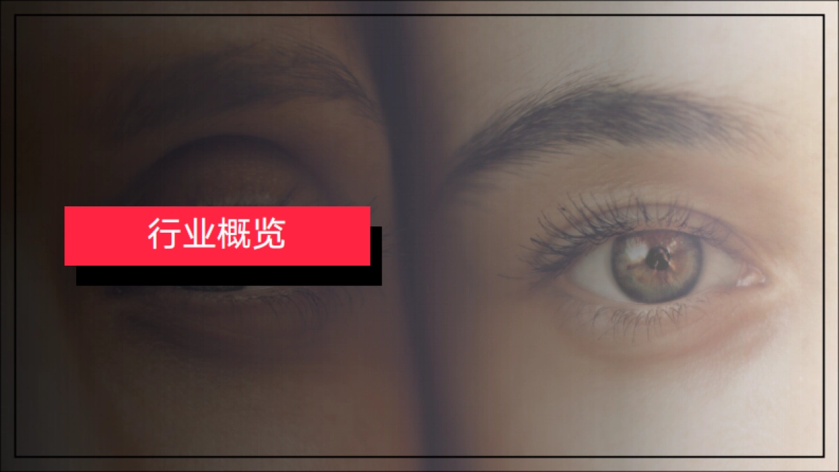 小红书2023年隐形眼镜行业月报-12月_第3页