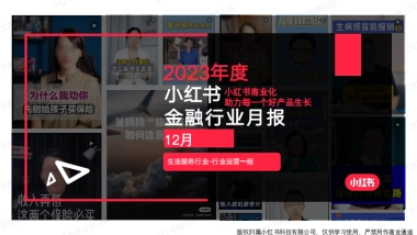小红书2024年金融行业月报-12月