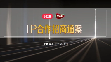 小红书AWE《家生活种草节》IP合作招商通案