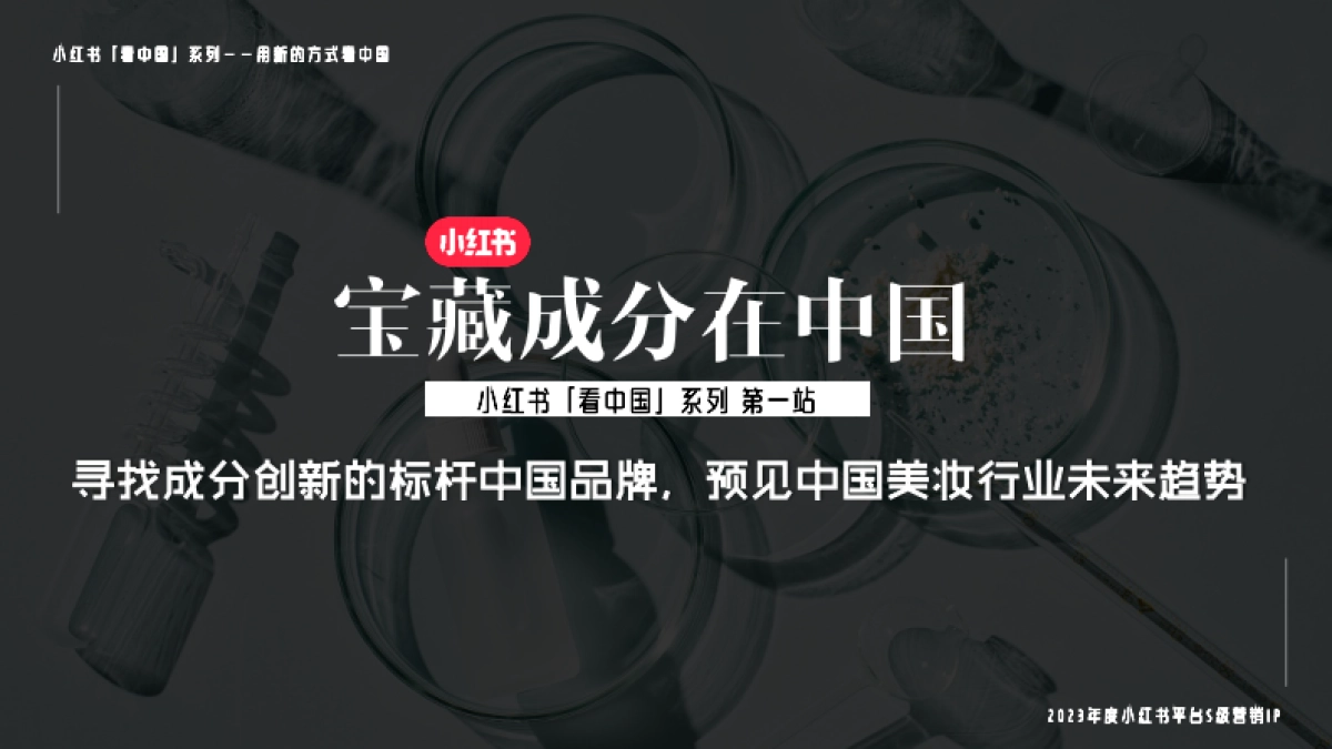 小红书宝藏成分在中国 招商通案_第9页