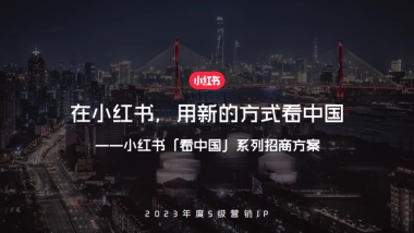 小红书宝藏成分在中国 招商通案