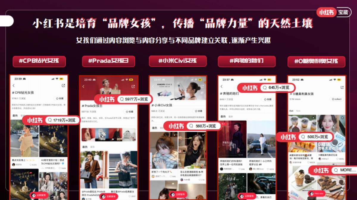 小红书宝藏女孩日通案_第3页