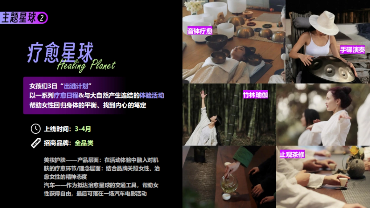 小红书女性成长IP-她宇宙招商方案_第10页