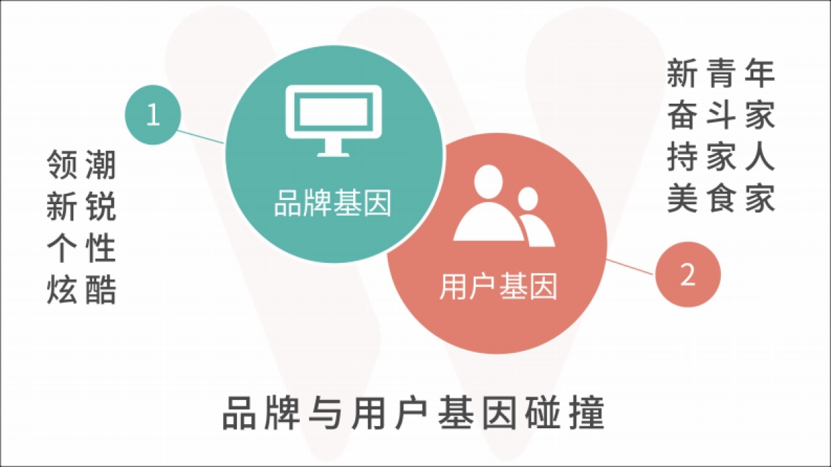 2019美的微蒸烤新媒体推广方案_第10页