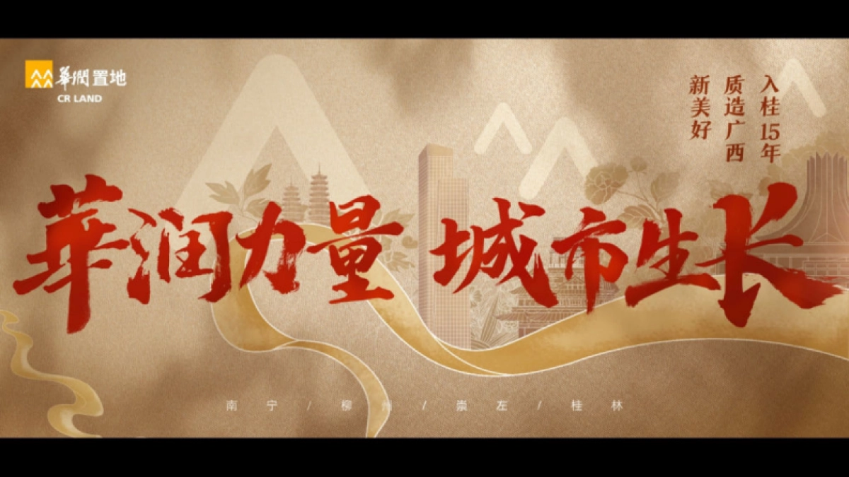 华润新媒体互动传播年度方案-57P_第6页