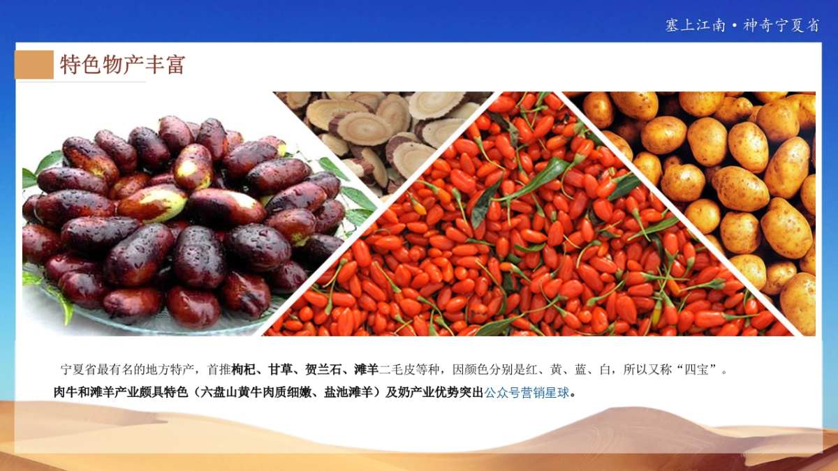 宁夏文旅新媒体宣传推广方案_第10页