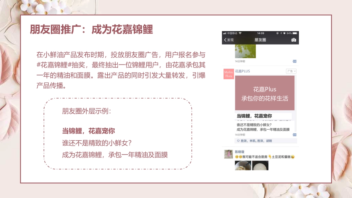 小鲜油新媒体推广方案_第10页