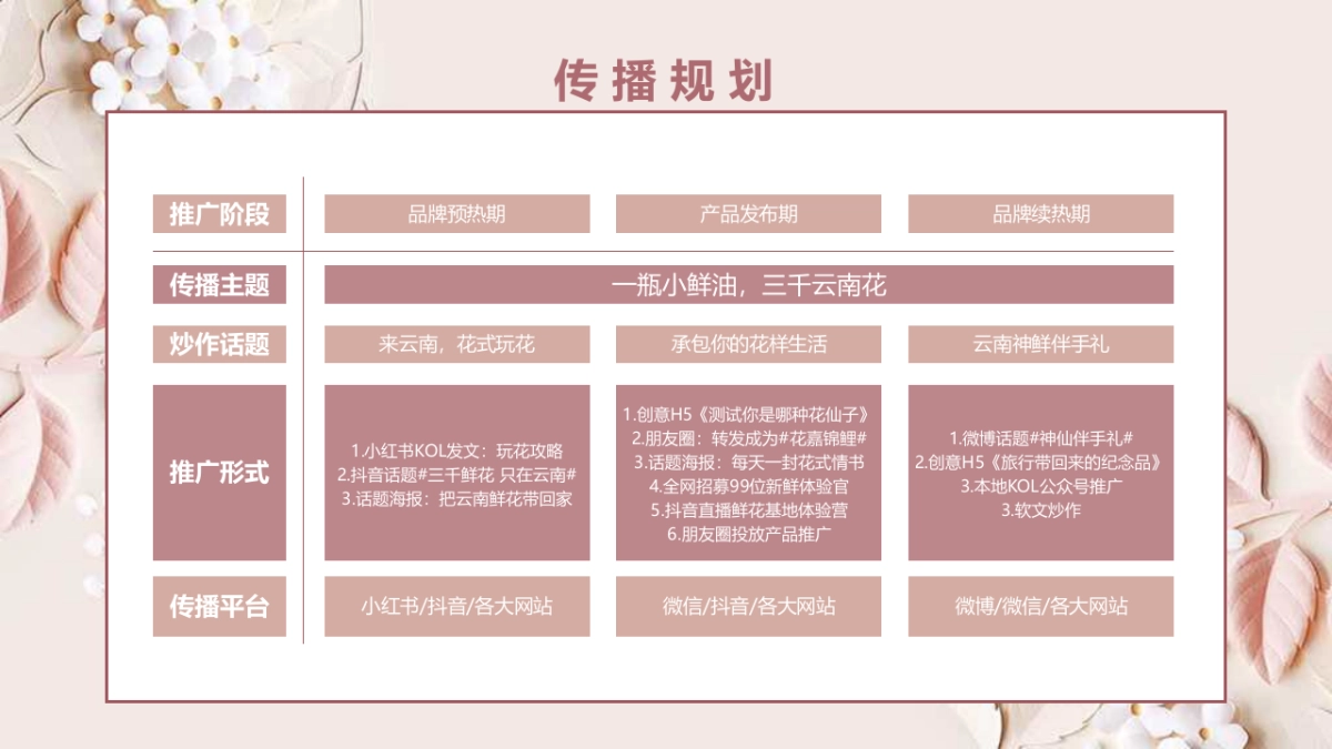 小鲜油新媒体推广方案_第2页