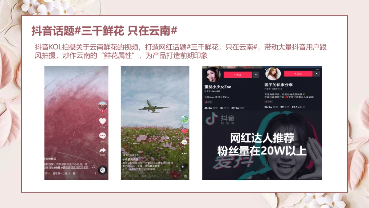 小鲜油新媒体推广方案_第6页