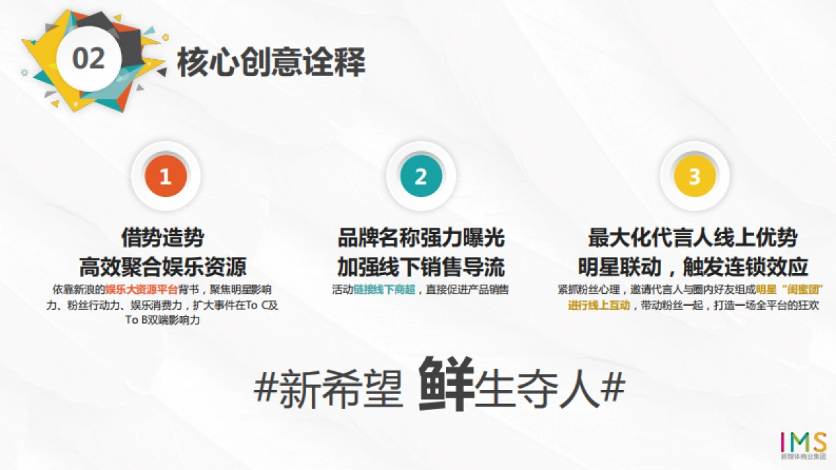 新希望 粉丝节 新媒体传播方案_第10页
