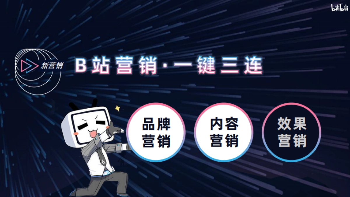 2020年bilibili品牌营销手册_第9页