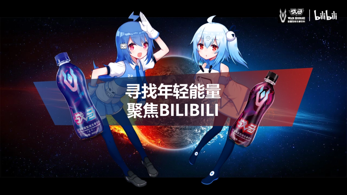 bilibili-战马合作方案_第5页