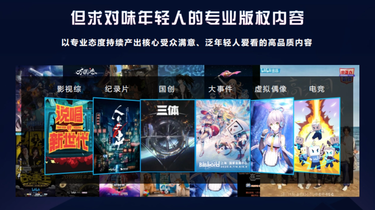 B站营销生态与效果向营销资源组合_第5页