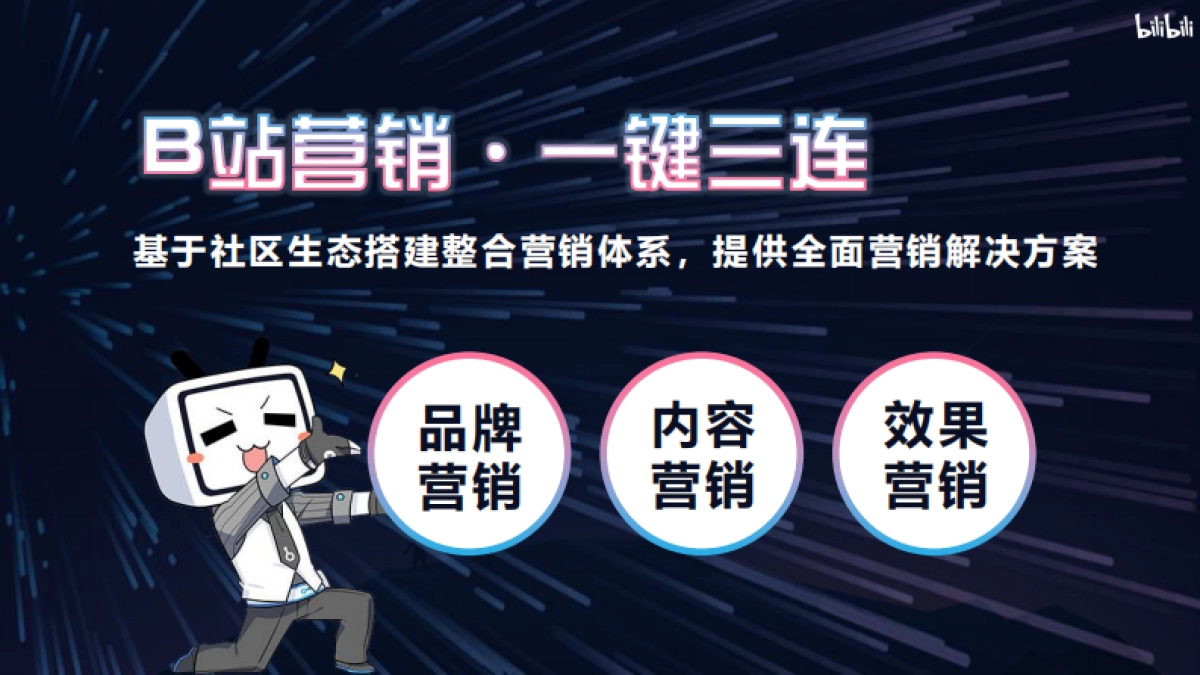 B站营销生态与效果向营销资源组合_第8页