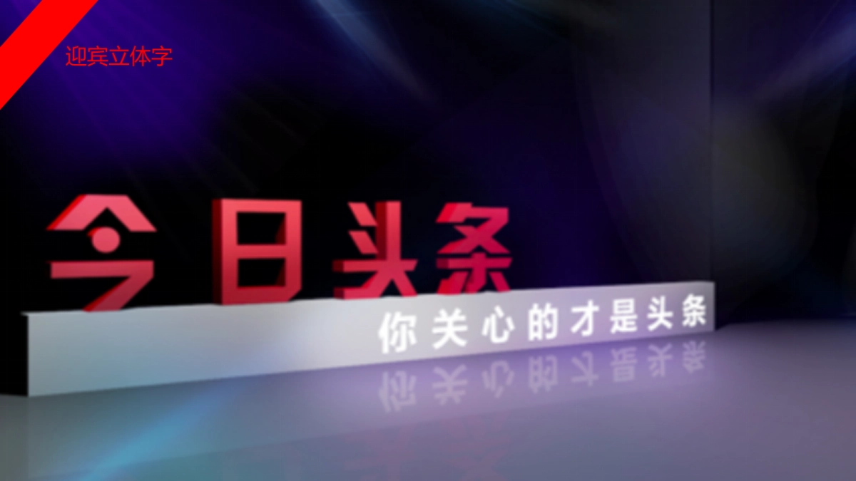 今日头条品牌发布会策划方案_第10页