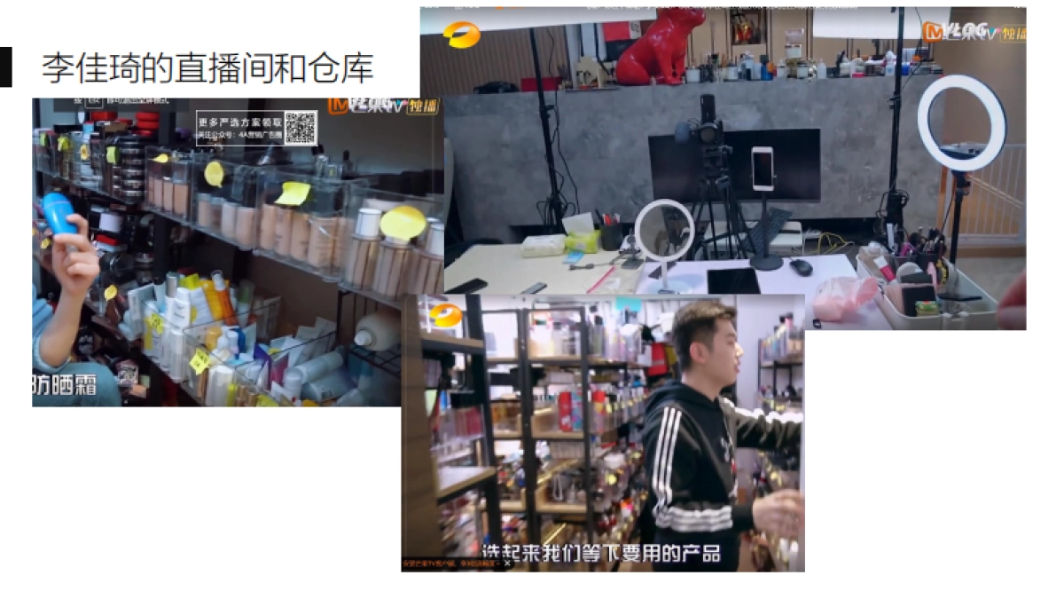 淘宝大主播薇娅和李佳琦分析-31P_第10页
