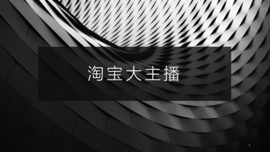 淘宝大主播薇娅和李佳琦分析-31P