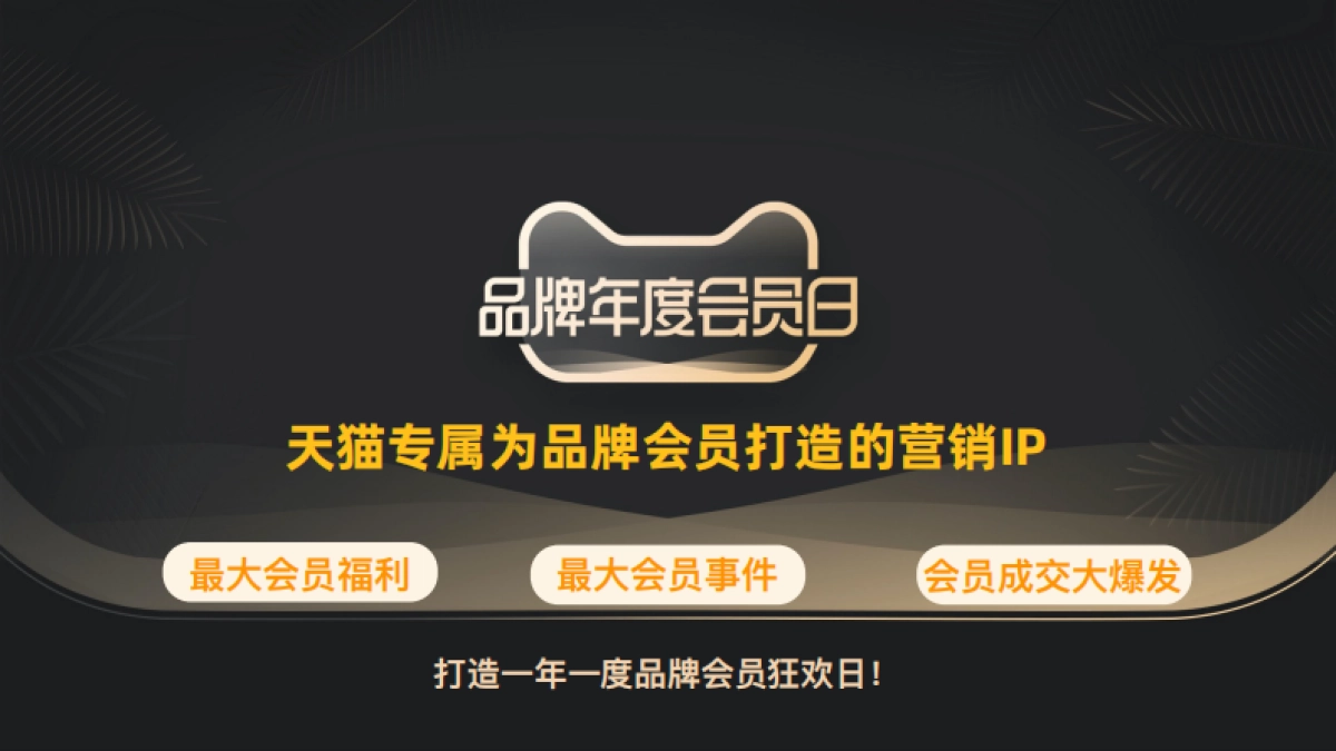 【招商方案】天猫 品牌年度会员日IP介_第2页