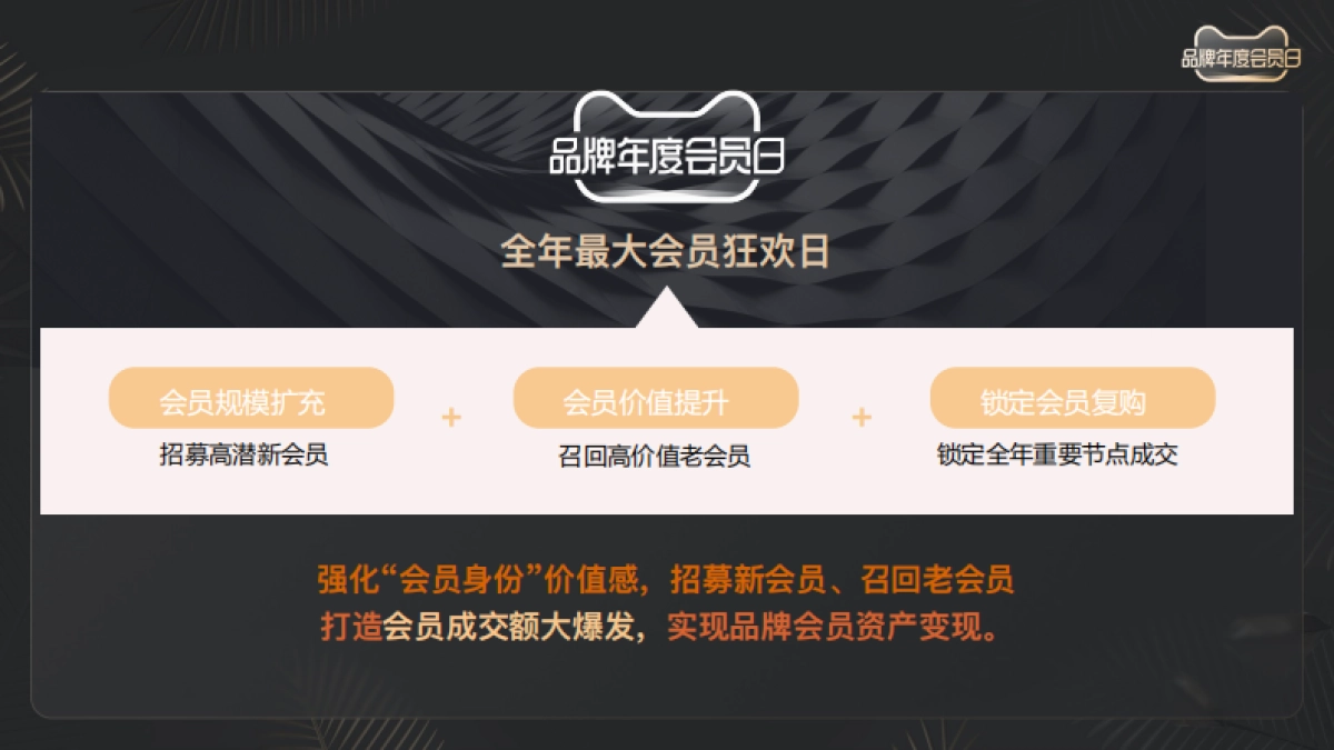 【招商方案】天猫 品牌年度会员日IP介_第3页