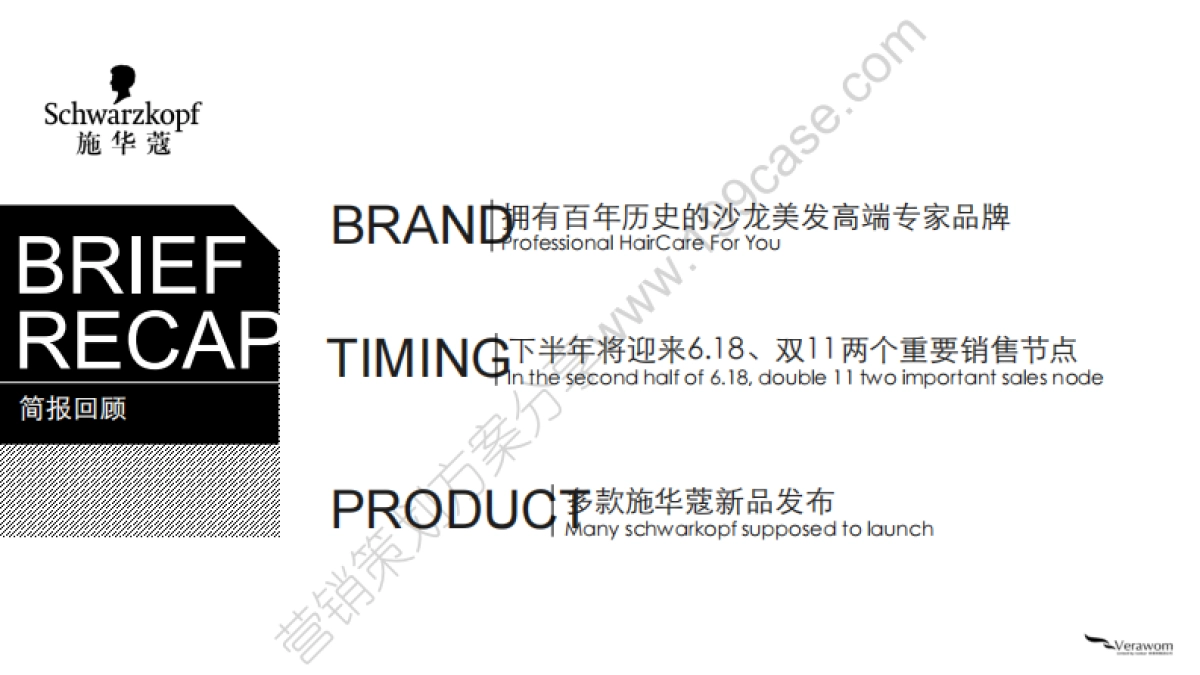 2015施华蔻天猫旗舰店全年传播方案-53P _第2页